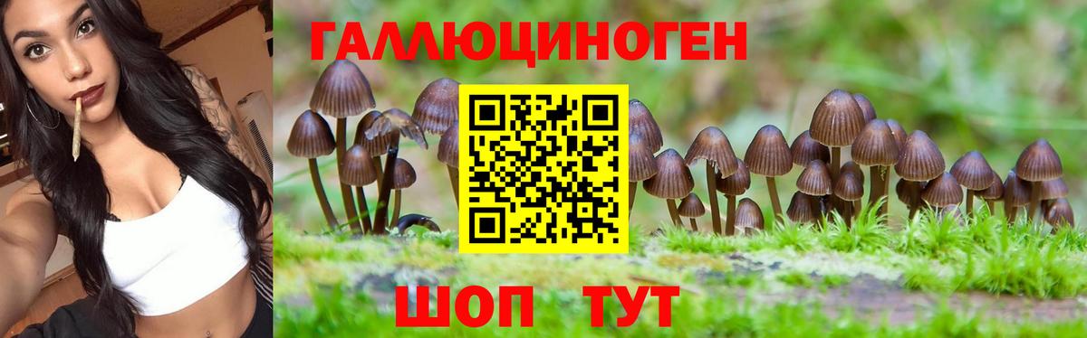 Псилоцибиновые грибы Cubensis Кириши